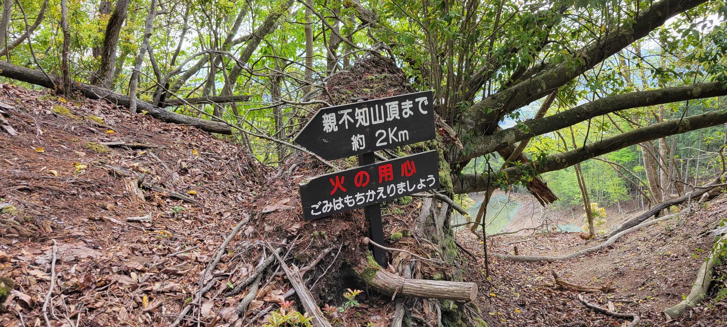 親不知 周回コースの写真