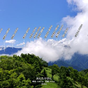 御池山の山頂