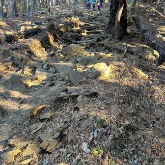 だんだんこうなって