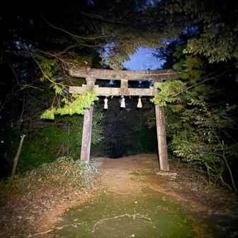 鳥居まで戻ってきて