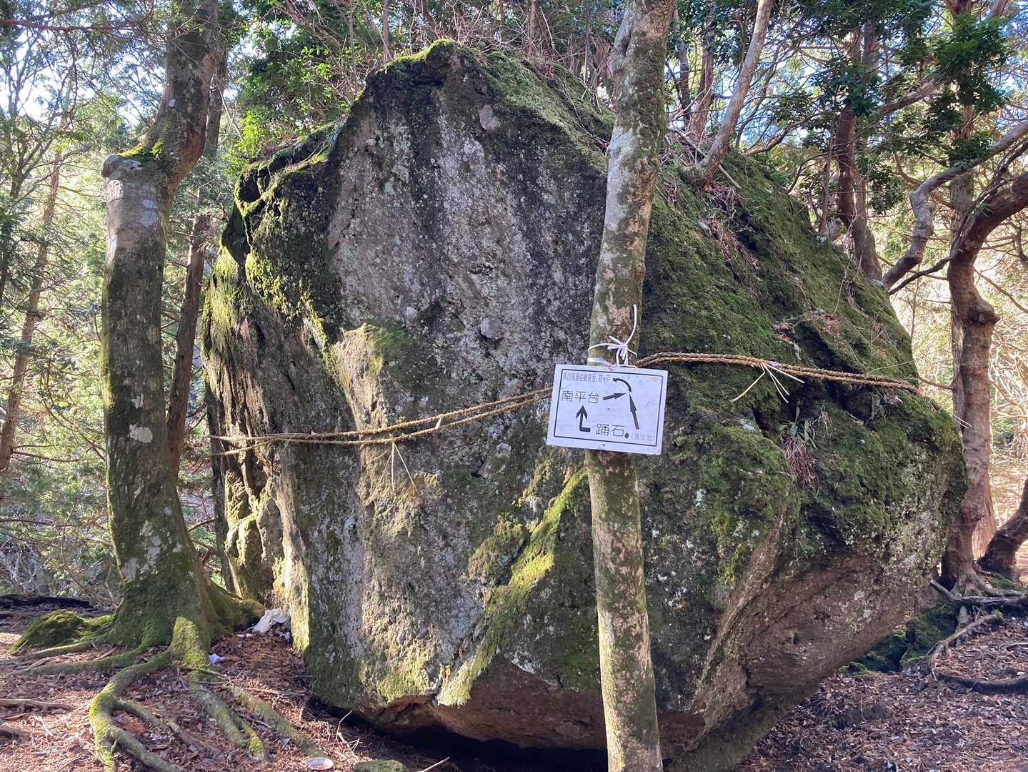 踊石🪨