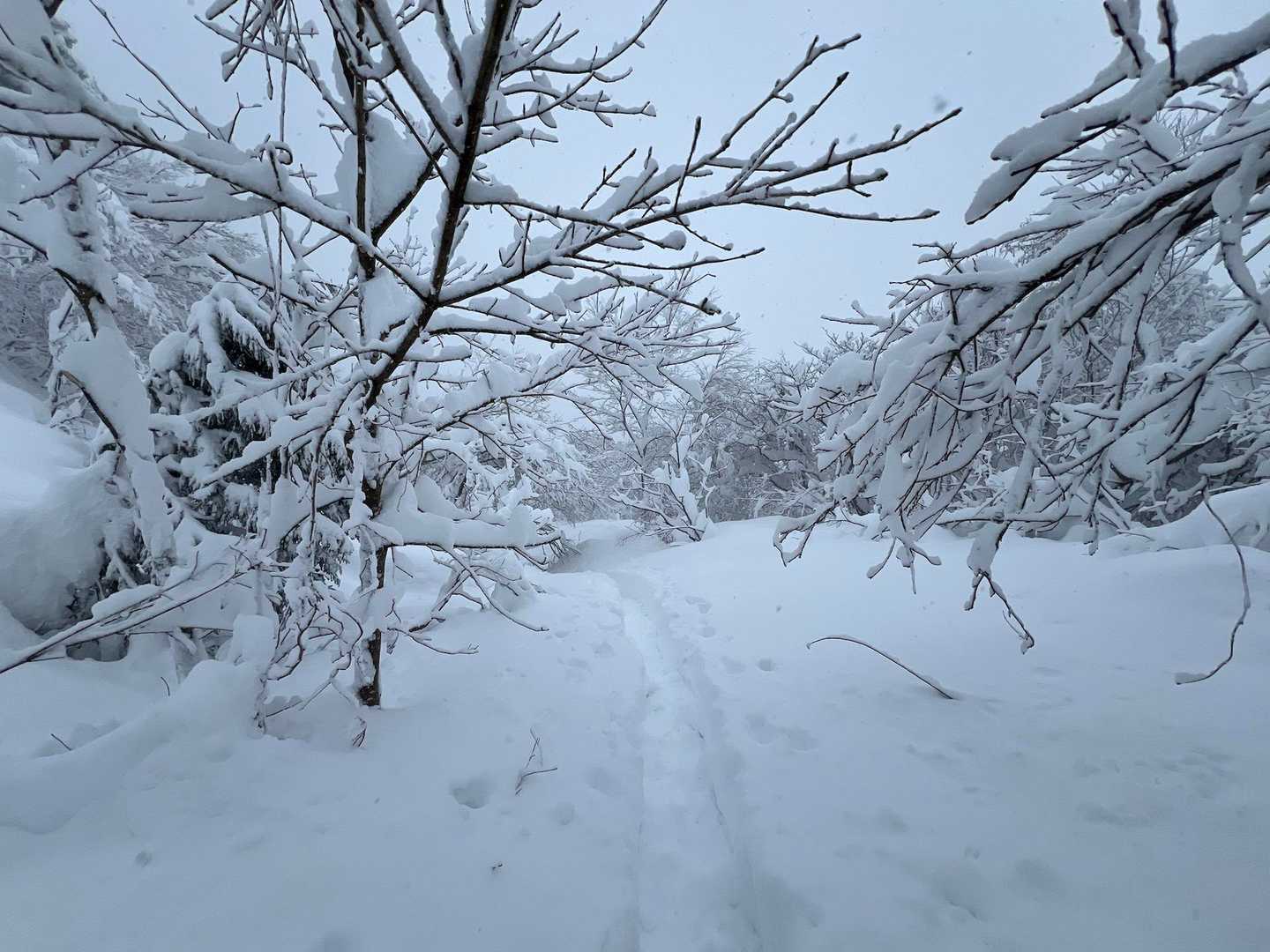 そして下山〜😚