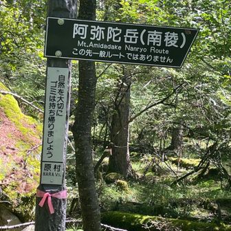 南稜との分岐
この後もボツボツ歩いて無事下山
テント張ってもみの湯へ♨️
