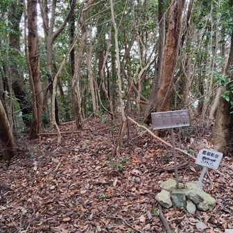 山頂の様子。　眺望なし。