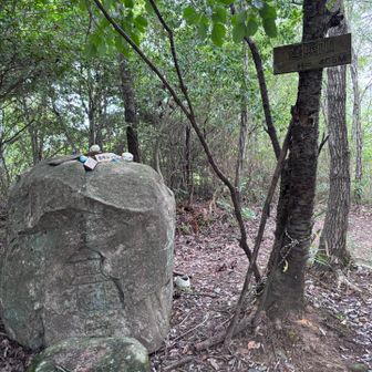 遥照山着