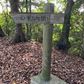 山頂到着