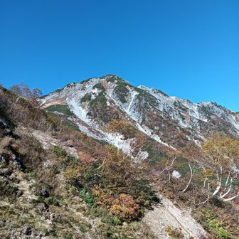 針ノ木サーキットの稜線が見える。

左側から右回りに針ノ木岳、スバリ岳→