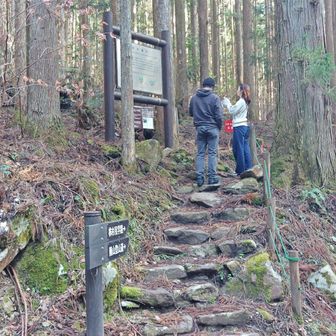 往路の株杉コースの登山口の横を通過
