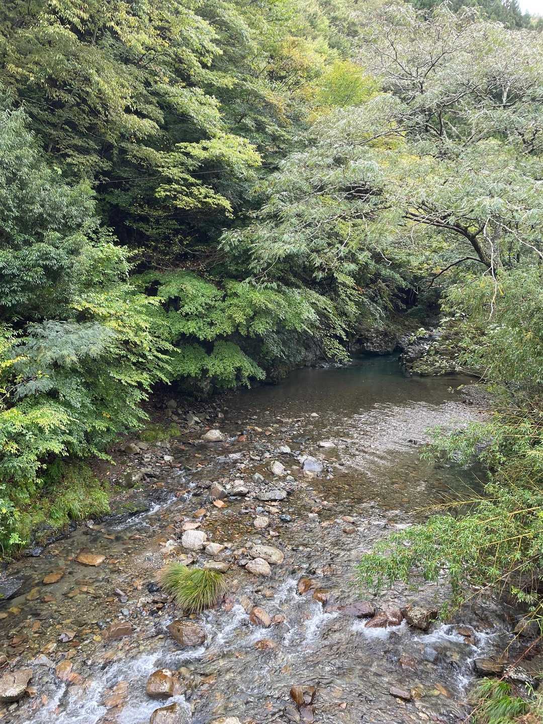公民館裏手の川