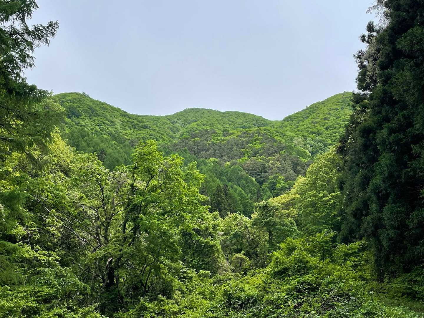 川桁山山頂