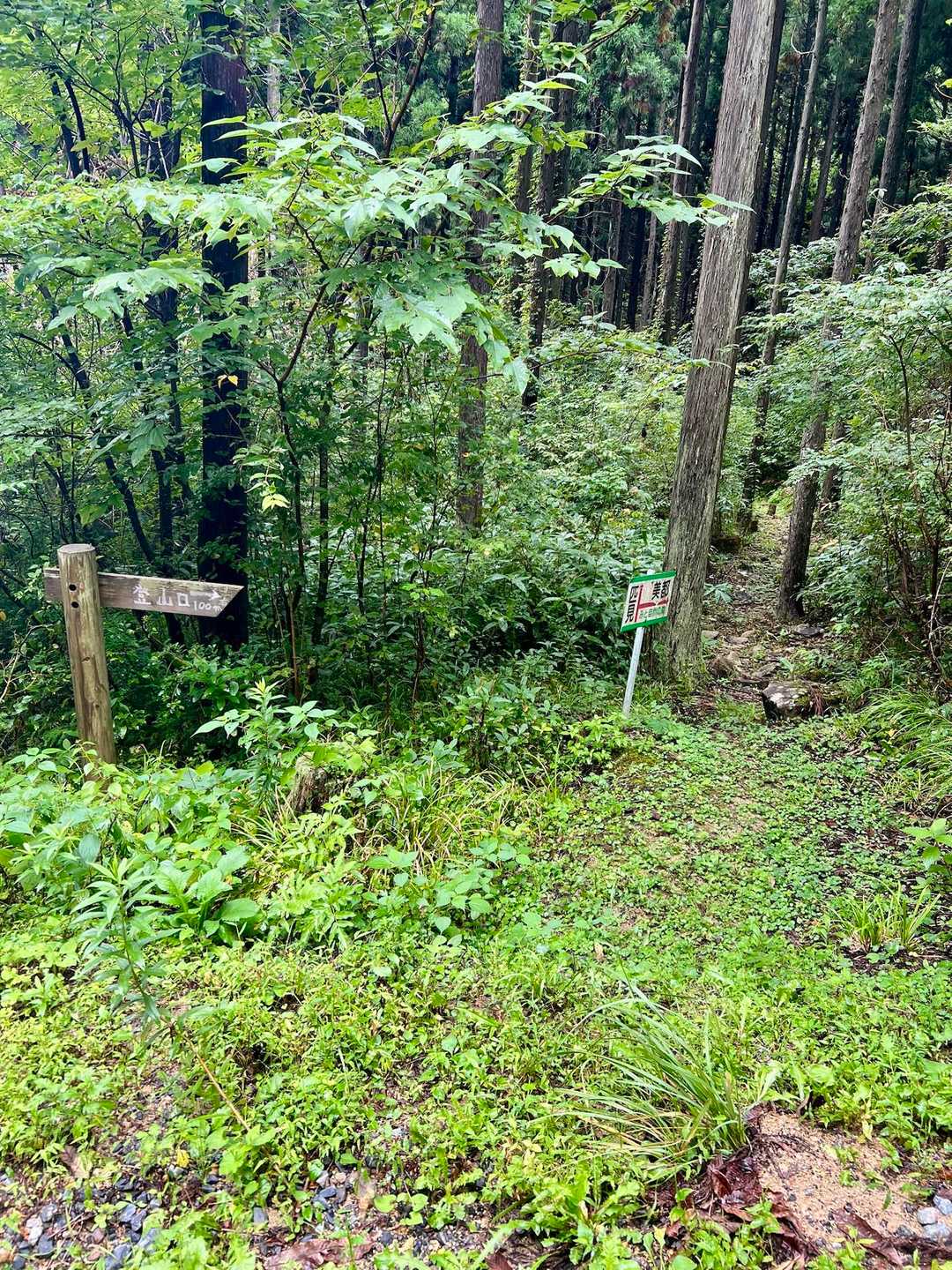 みと自然の森(キャンプ場)との分岐です🏕️