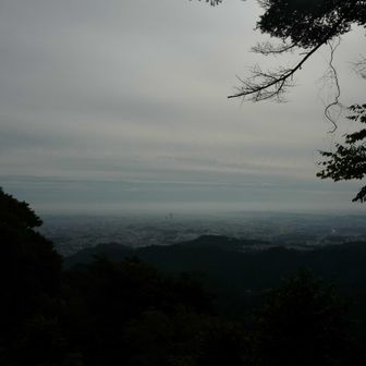 都内方面の景色、モヤっててあんまり遠くまでは見えない