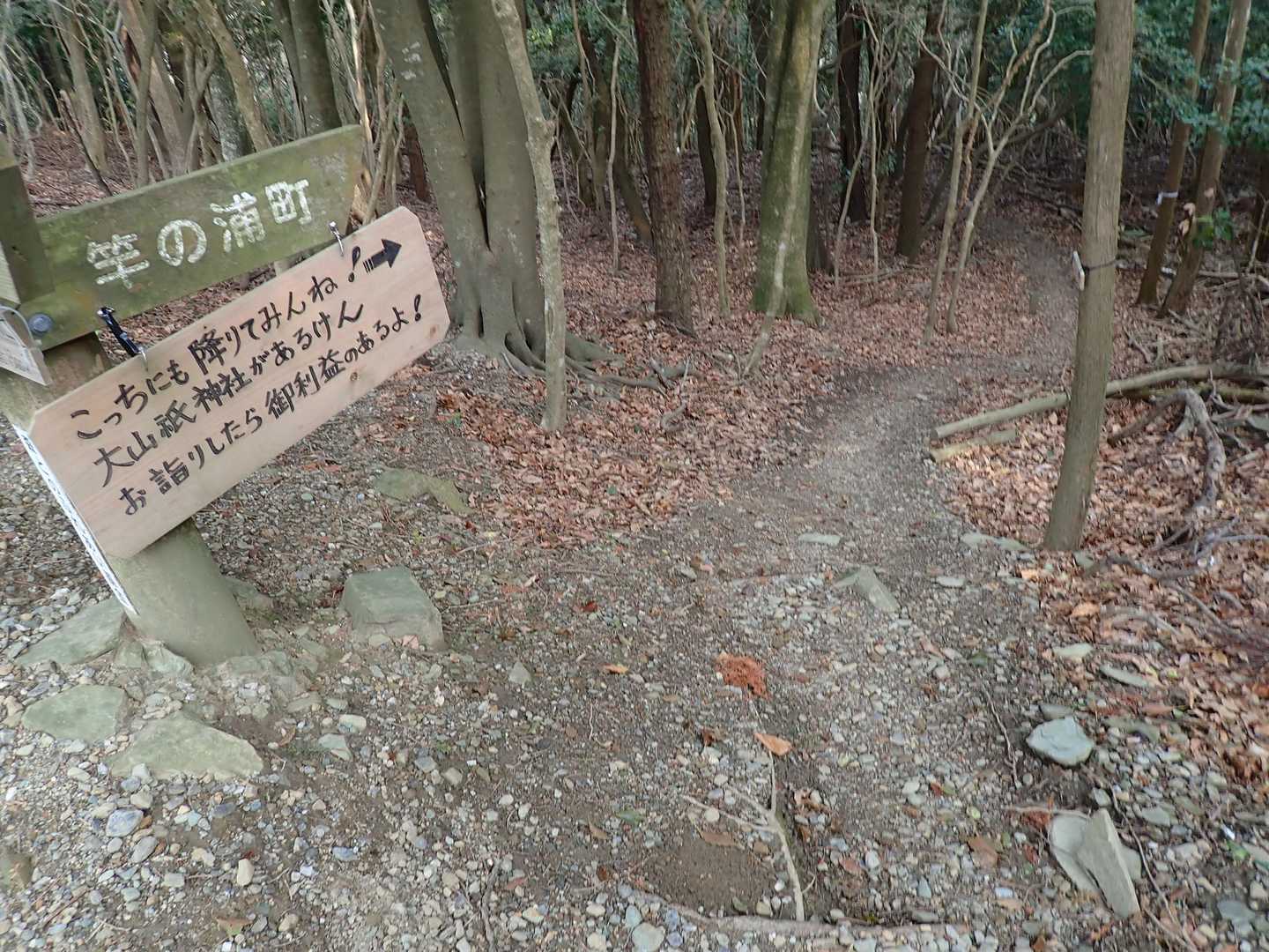 大山紙神社からの登山道と合流します。