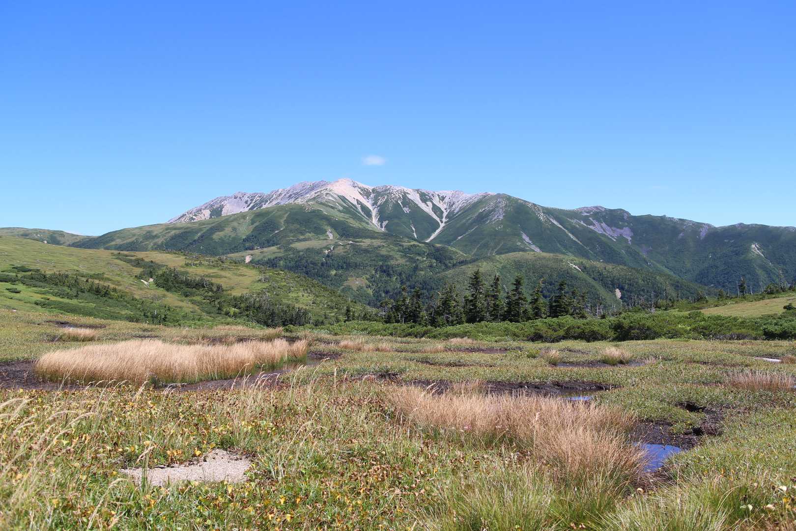 薬師岳登山口-五光岩ベンチ-北ノ俣岳 往復コースの写真