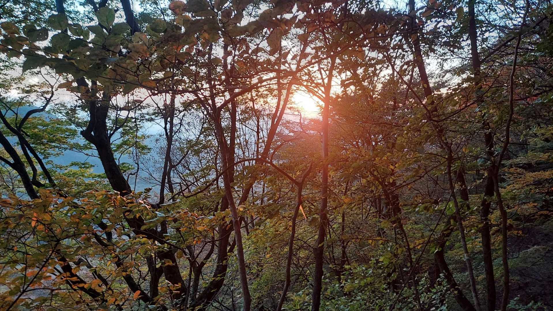 太陽☀は、やはり温かい