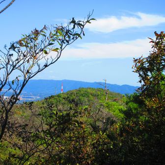満願寺西山