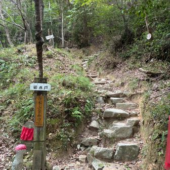 登山口からこの急斜面！
最初の数百mで只者ならぬ雰囲気を感じることができます🌋
