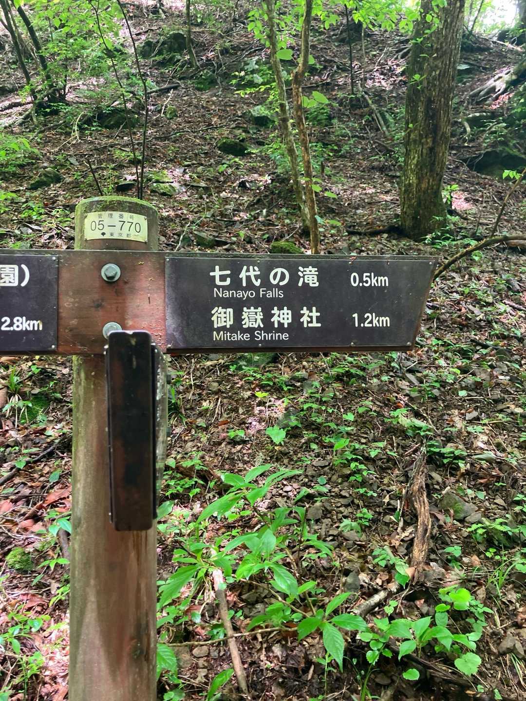 御岳山駅-御嶽神社-御岳山-鍋割山-芥場峠 周回コースの写真
