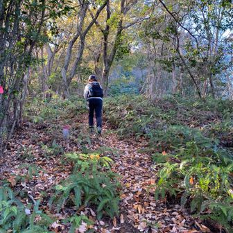 と思ったら上りやし💦