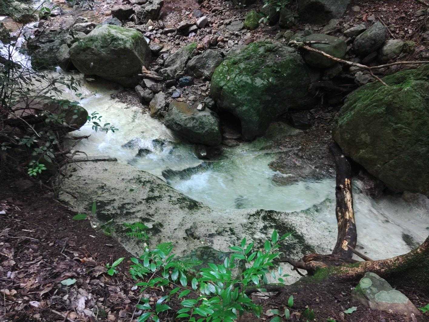 見返り峠-黒髪山 往復コースの写真