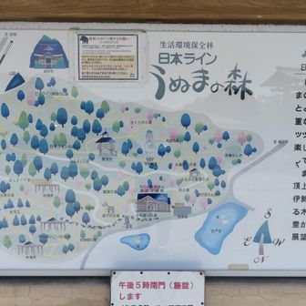 うぬまの森に着きました。ここからは、アスファルトの道が終わります。ハイキングコースの始まりです。