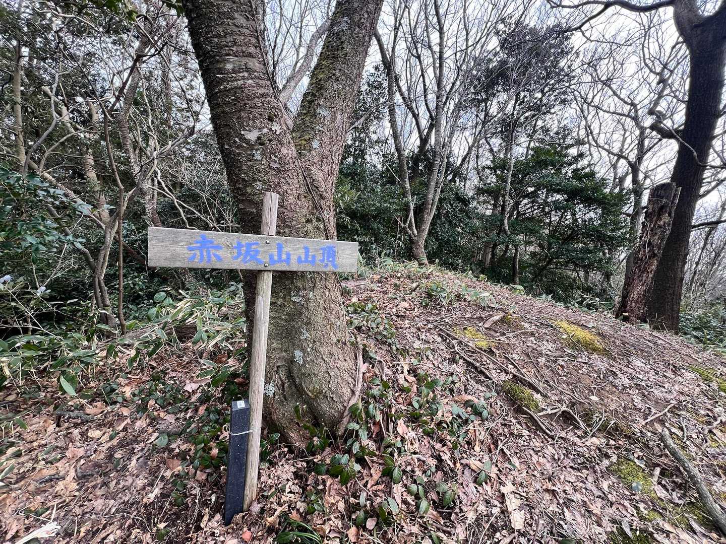 山頂。