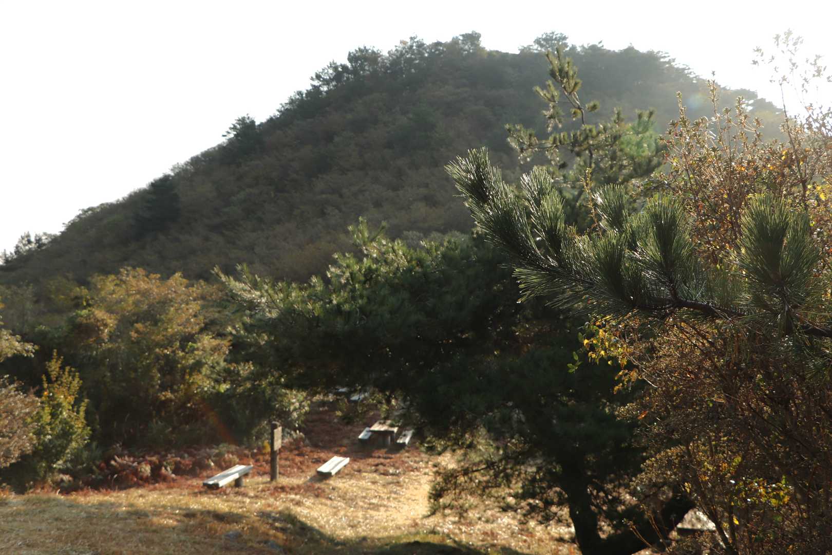 山頂までもう一息💦