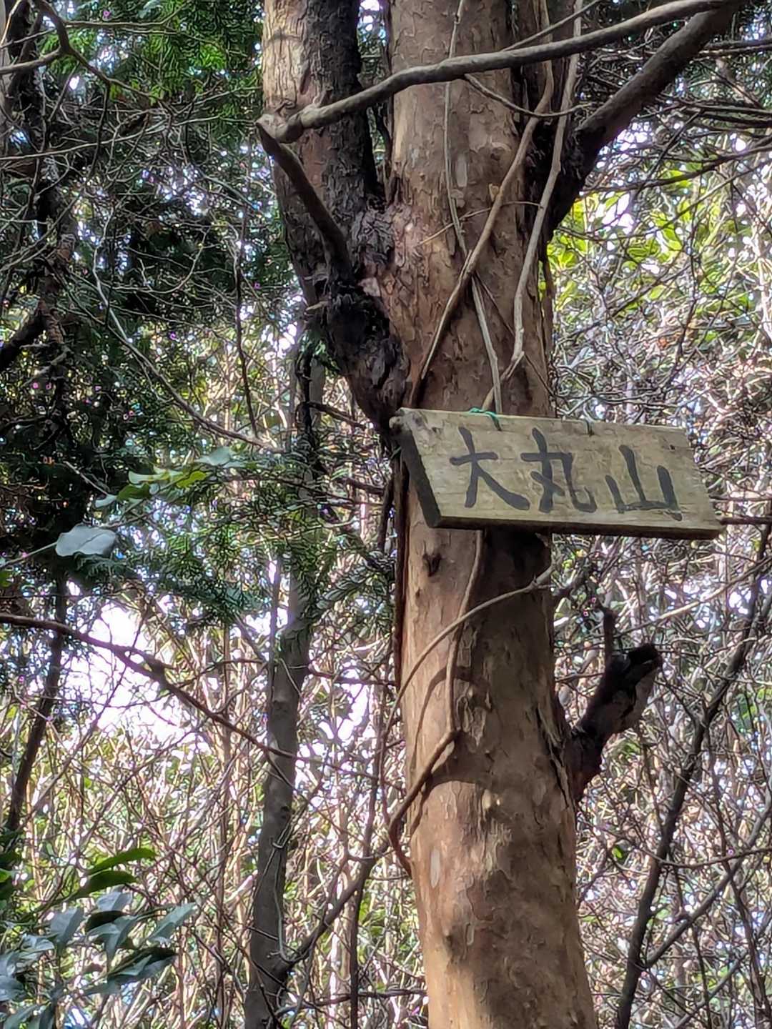 大丸山山頂