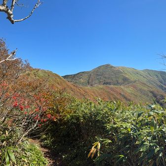 まだまだ遠いけど紅葉のおかげて気分上がってくる