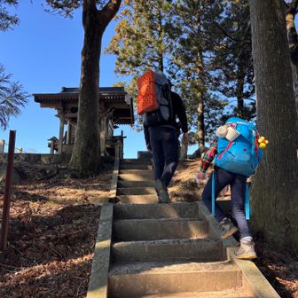 ムササビちゃんは不在でした