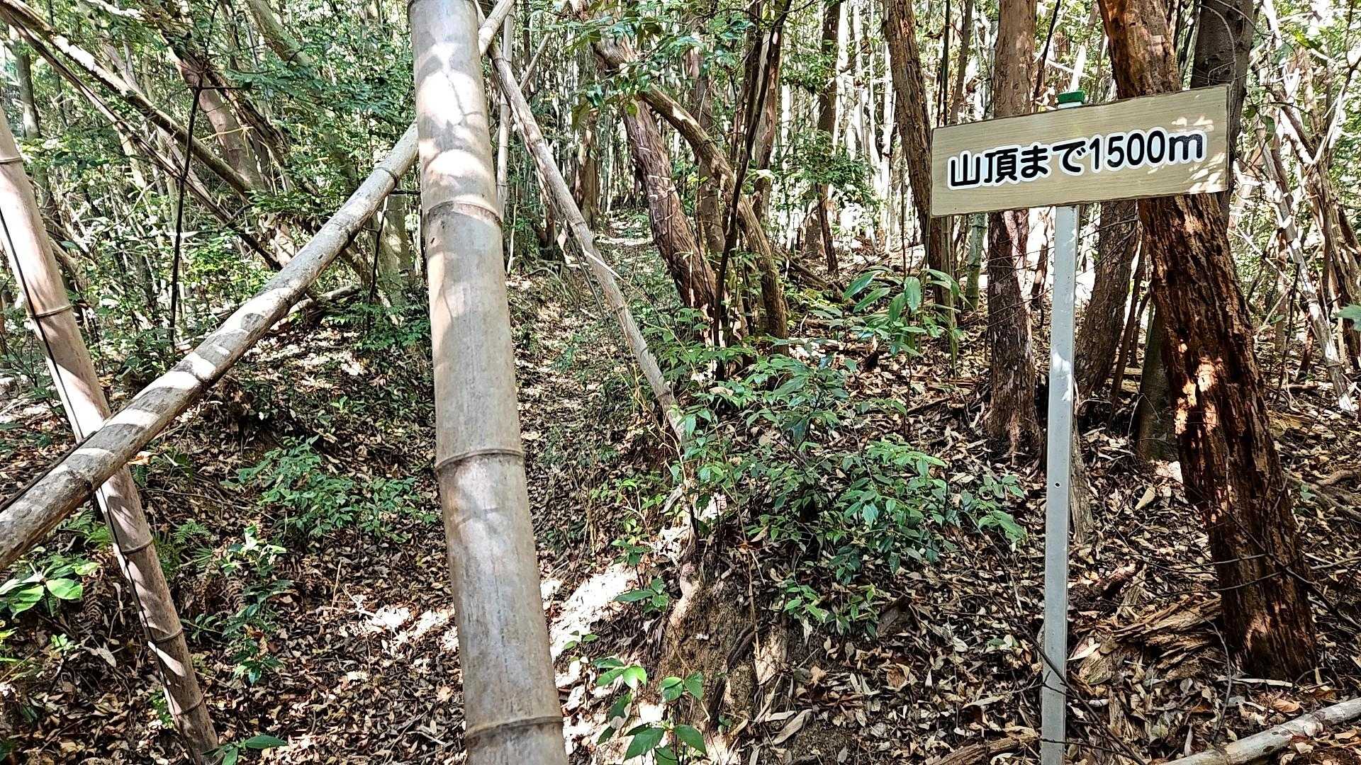 涼山登山口-涼山 往復コースの写真