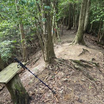 鹿山と子鹿山間にあるテーブル
子鹿山(まっすぐ)へは行きません