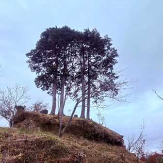 あそこが「みはらし台」のようです。
＝おんだら山山頂