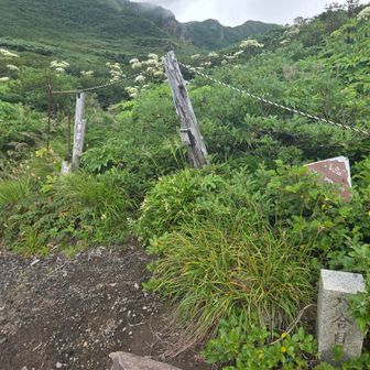 八合目、もう少し
(登山のもう少しは、もう少しではないw)