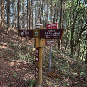 底沢峠
高尾山〜陣馬山の主脈に合流しました