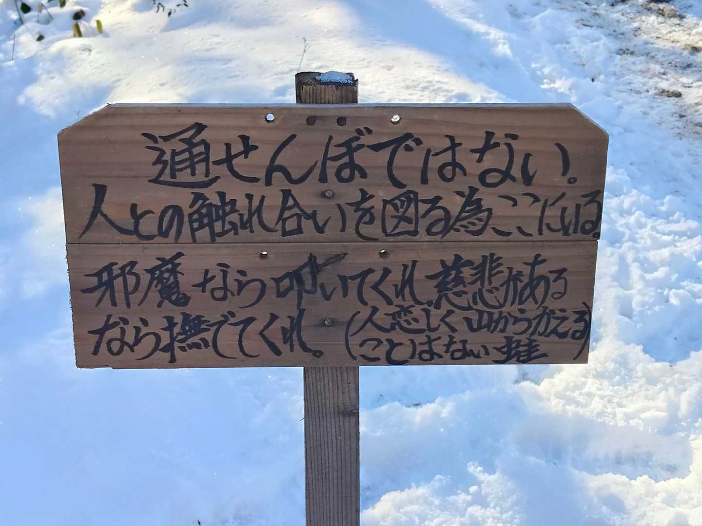 ふふ🤭