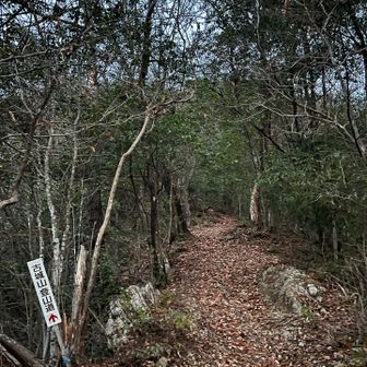 雨は降ってないことにして、登ります

夫はヘッテンの調子がわるいのか弱い光

私は、ヘッテンそのものが、ザックに入ってなかった😱
最近、ずっと入ってると思って、長距離も一人で登ってた〜