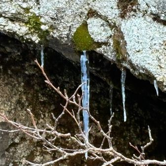 つらら🥶