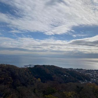 おだやかなら相模湾