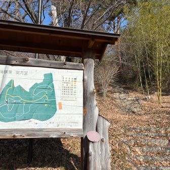 猫の形の案内図🐱