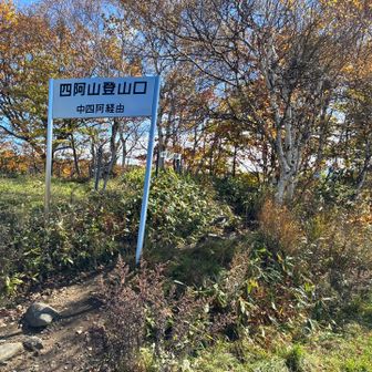 戻ってきた