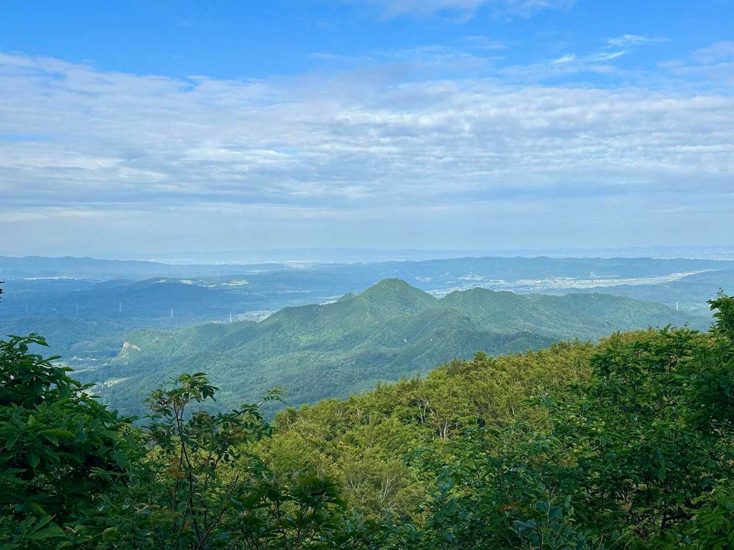 袴腰山🙄　高城ヒメサユリ祭り開催中