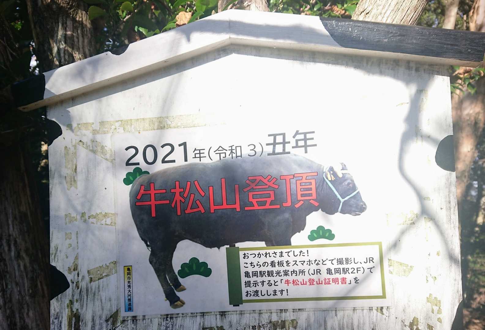 後半は電信柱のお陰で 気づいたら山頂 