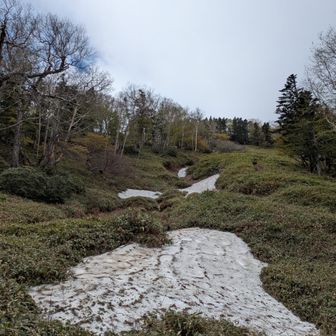 国境平。北斜面や日当たりの悪いところは柔らかな残雪あり