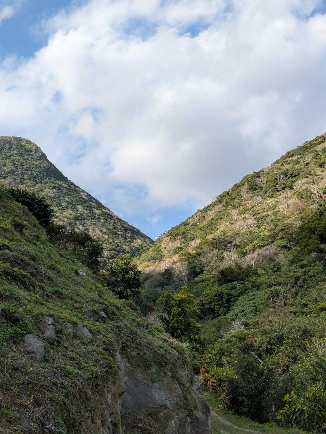 左右の山を周回します!