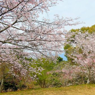 山頂とうちゃこ😄好きな感じの小広くてゆっくり出来そうな処です👍ベンチ有り