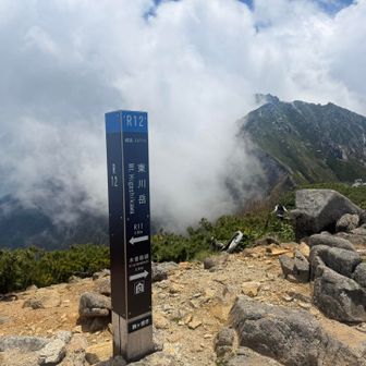 さて！あと残すは女王様のみ！！！！