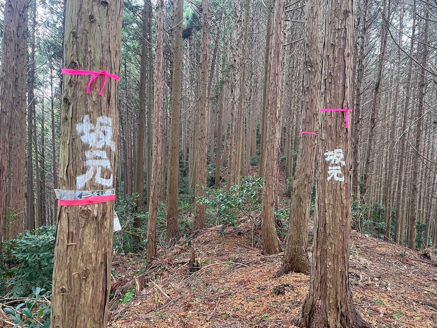 「坂元さん⁉️」　👀