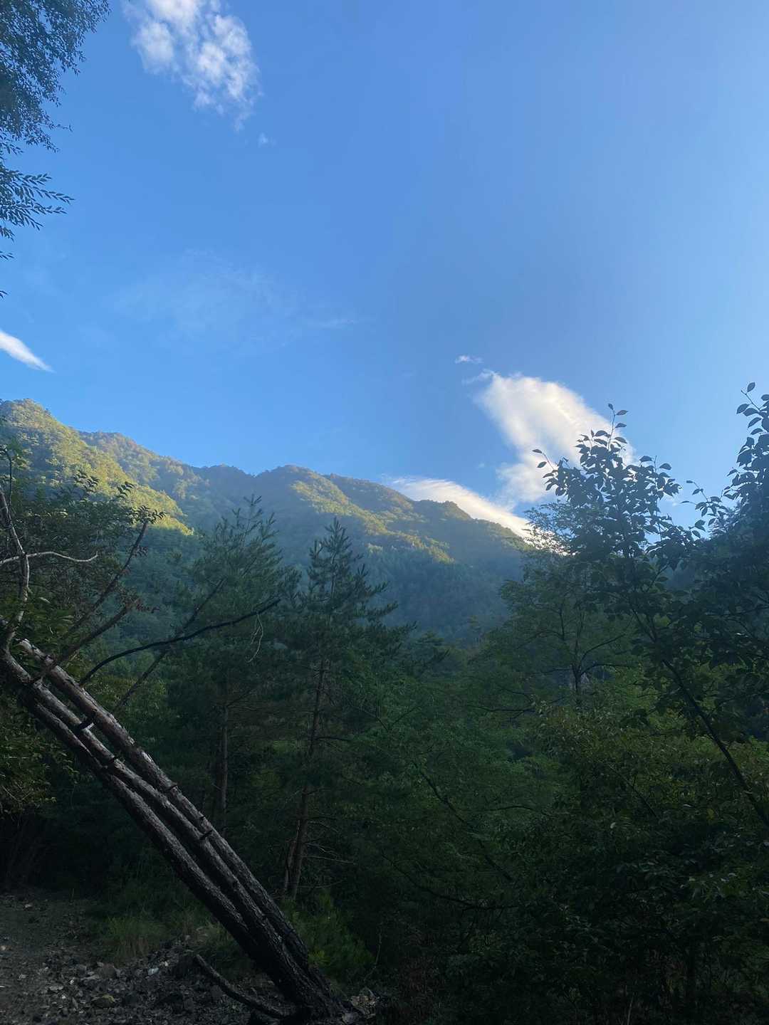 王岳（西湖いやしの里）の写真