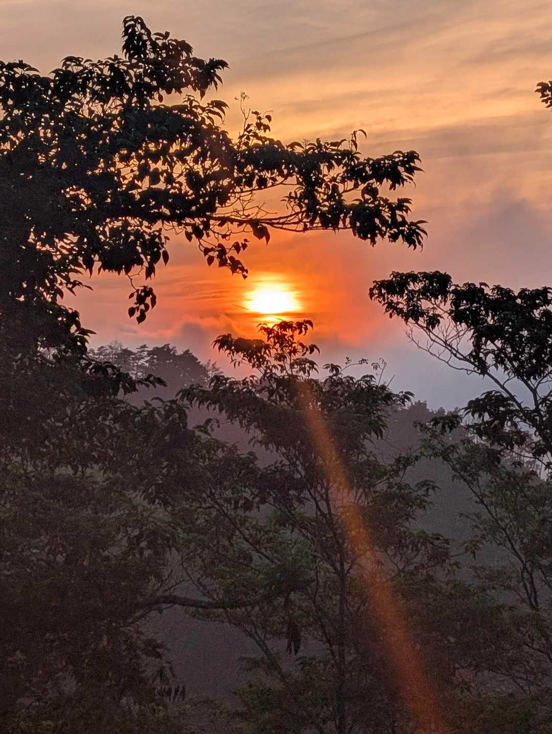 山上に上がってきたところで一瞬雲の切れ間から朝日が顔を出した🤩